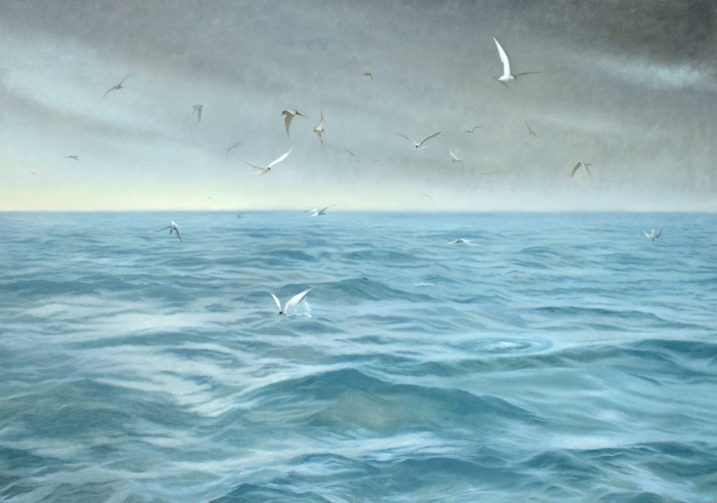 Seascape with Terns, Oil on Panel, 42 x 60 inches, 2020
