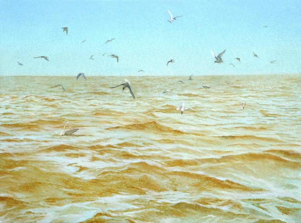 Study for Seascape with Terns, Oil on Panel, 9 x 12 inches, 2020