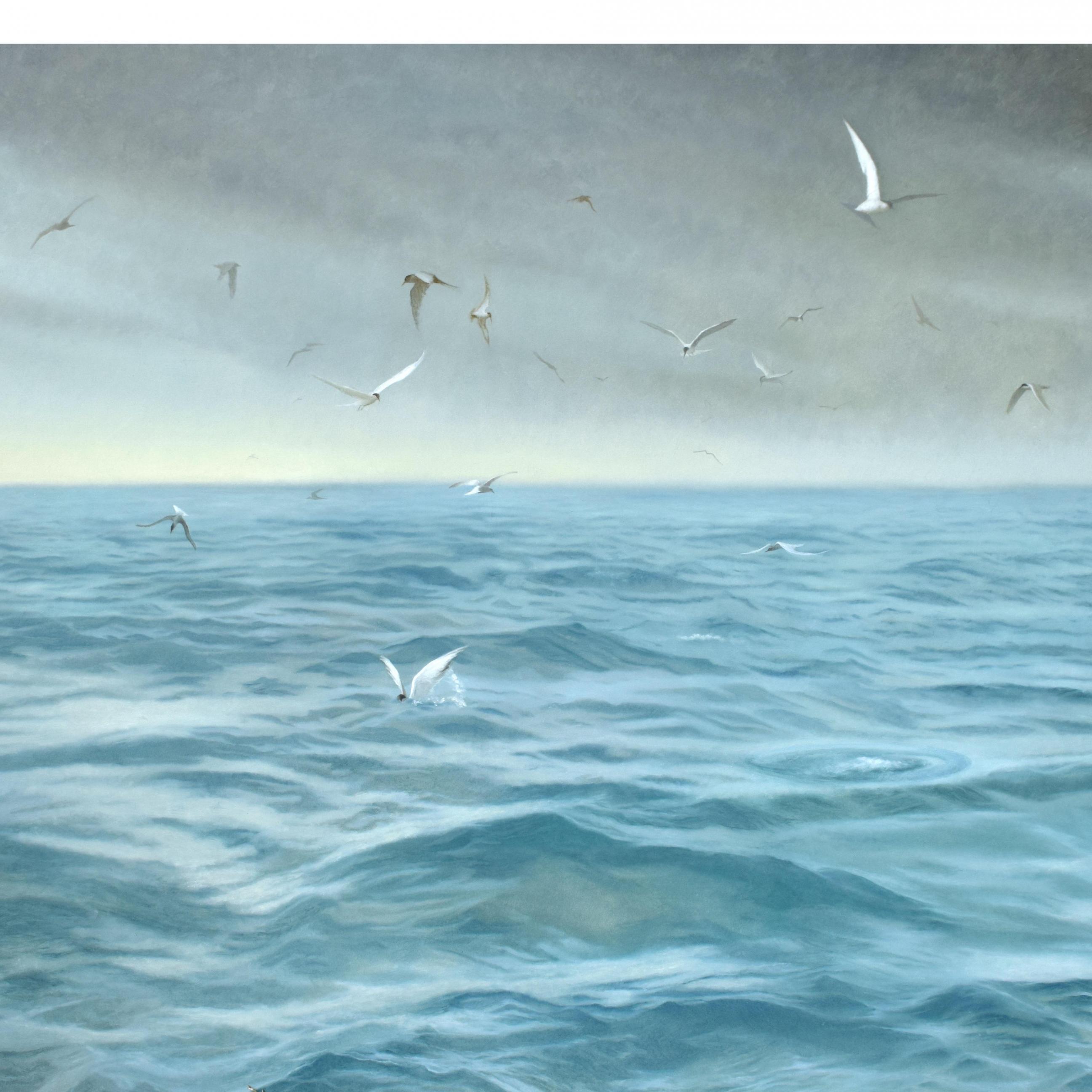 Baumgarten, Seascape with Terns, 42 x 60 inches, oil on panel